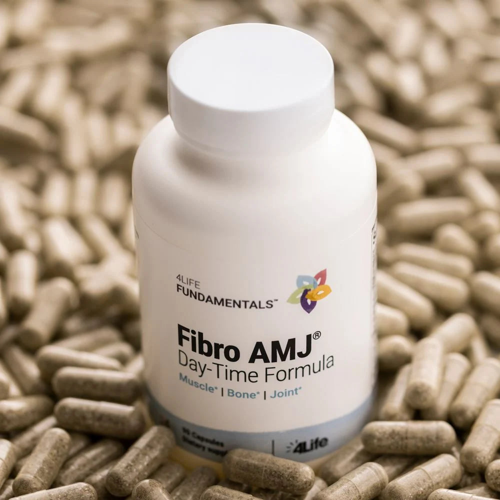 Fibro AMJ® - Day